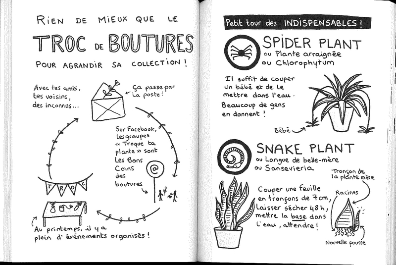 Comment avoir des plantes gratuites chez soi?