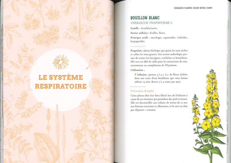 Le petit guide des plantes qui soignent