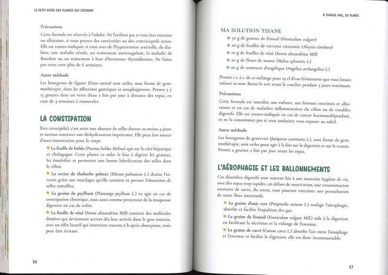 Le petit guide des plantes qui soignent