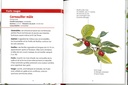 Baies et petits fruits les petits livres de la nature