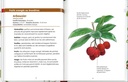 Baies et petits fruits les petits livres de la nature