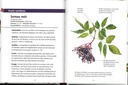 Baies et petits fruits les petits livres de la nature