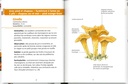 Champignons des forêts les petits livres de la nature
