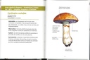 Champignons des forêts les petits livres de la nature