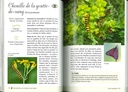 A la découverte des insectes
