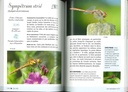A la découverte des insectes
