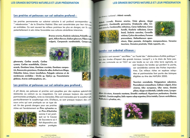Encyclopédie des Plantes bio-indicatrices Tome 2