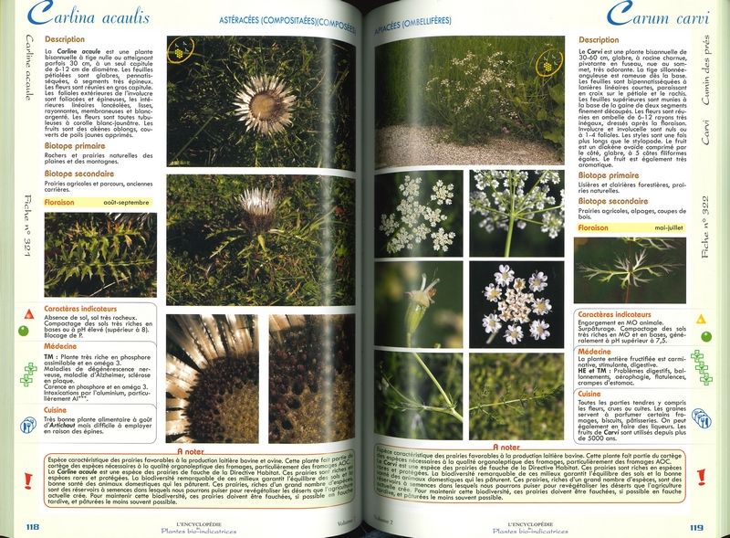 Encyclopédie des Plantes bio-indicatrices Tome 2