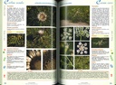 Encyclopédie des Plantes bio-indicatrices Tome 2