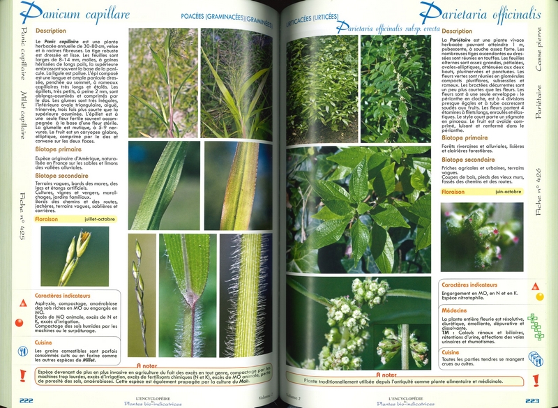 Encyclopédie des Plantes bio-indicatrices Tome 2
