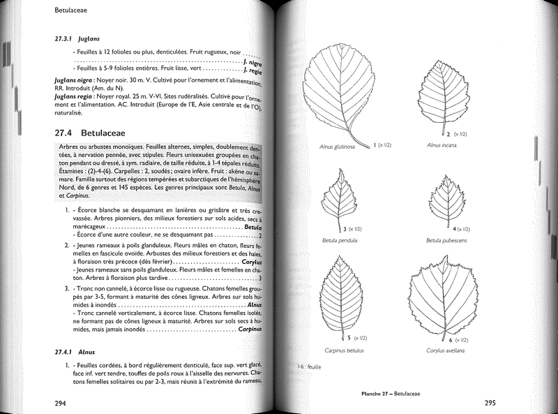Flore écologique de Belgique