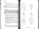Flore écologique de Belgique