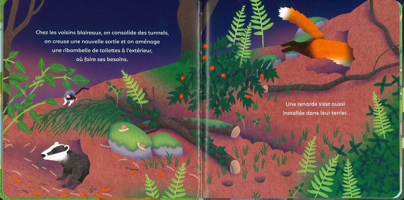 Les p'tits bâtisseurs