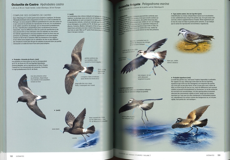 Identifier les oiseaux d'Europe - Coffret 2 Tomes