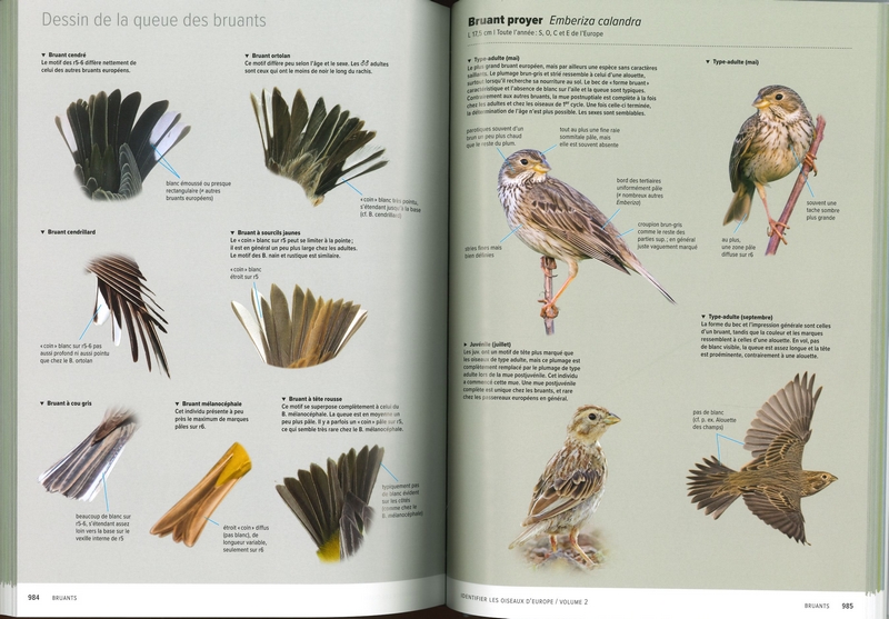 Identifier les oiseaux d'Europe - Coffret 2 Tomes