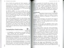 Homéopathie: action immédiate !