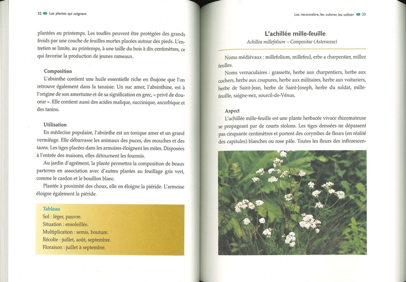 Soigner le jardin par les plantes