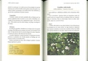 Soigner le jardin par les plantes