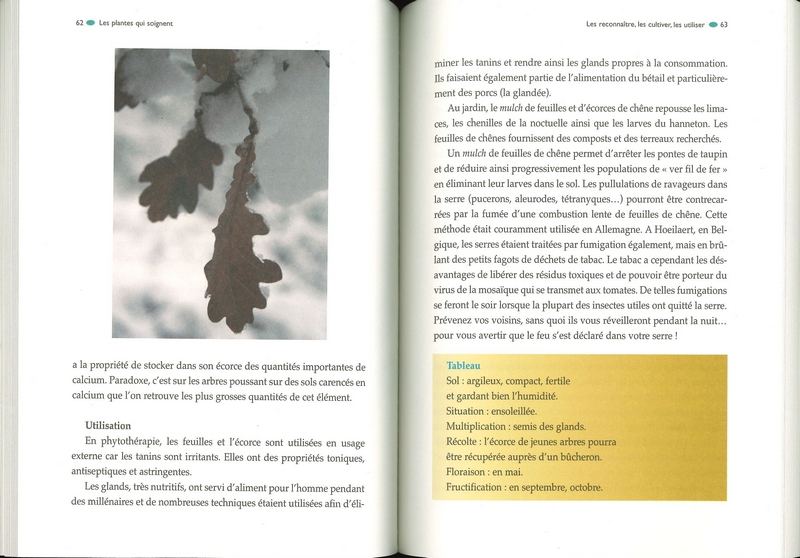 Soigner le jardin par les plantes