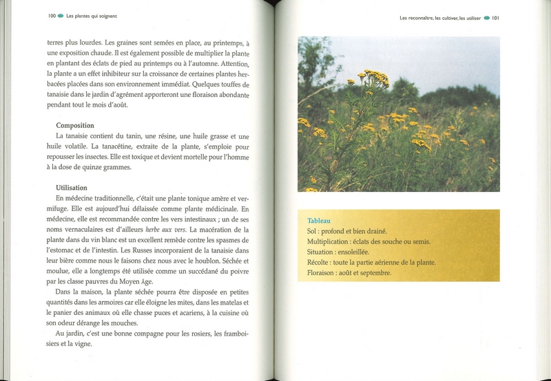 Soigner le jardin par les plantes