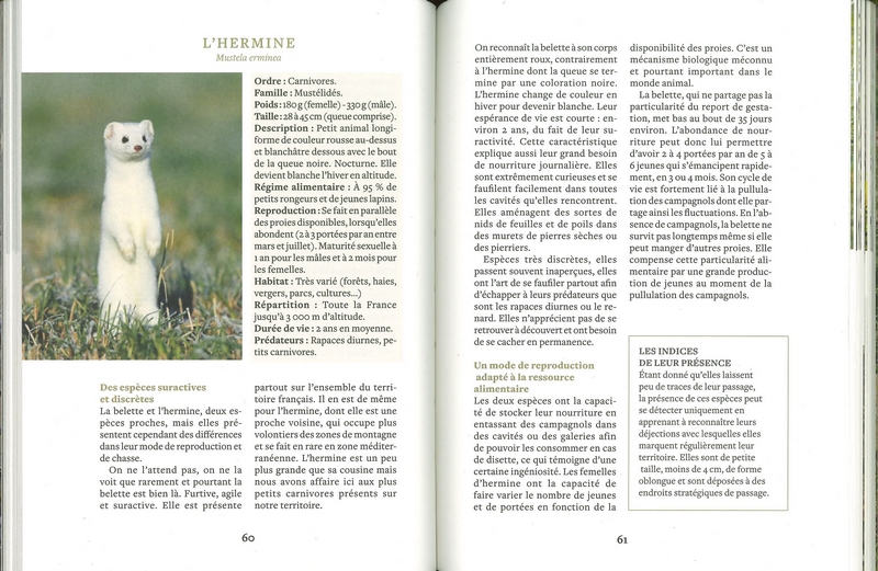 Créer un jardin vivant