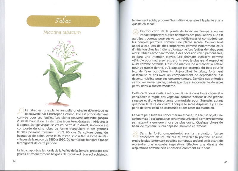 L'oracle de la Semois