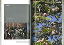 Les arbres et leurs hôtes