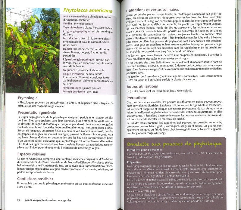 Aimez vos plantes invasives