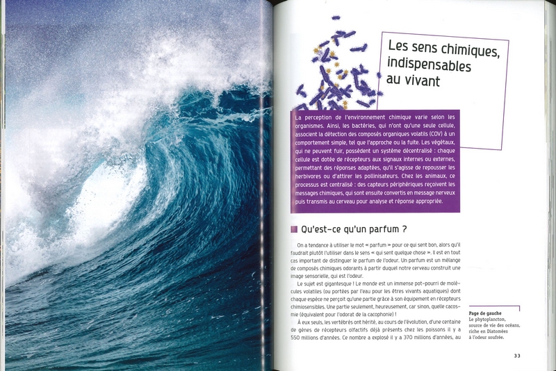 Les parfums de la nature
