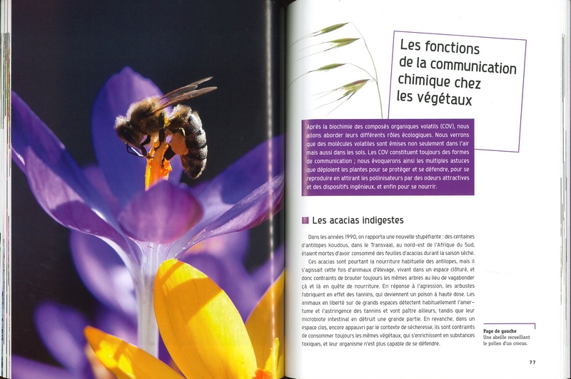 Les parfums de la nature
