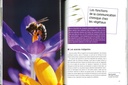 Les parfums de la nature