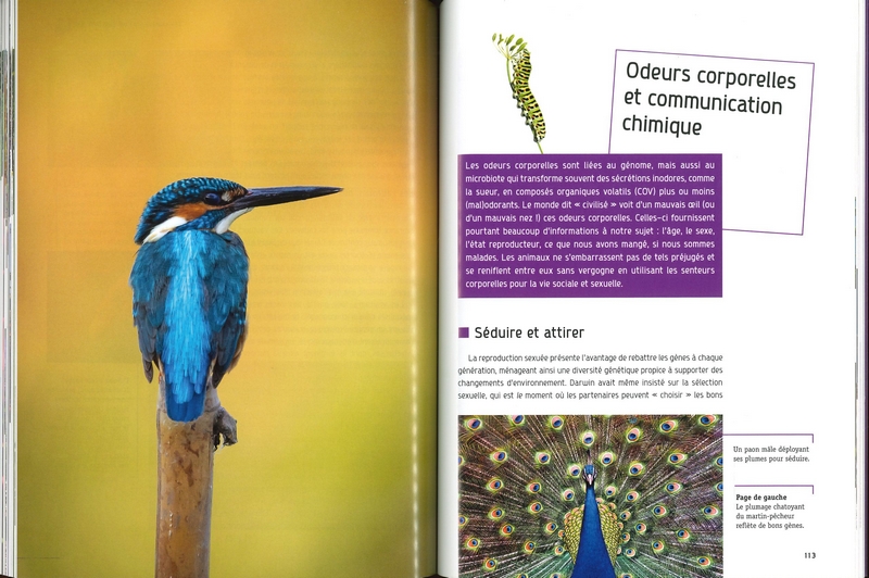 Les parfums de la nature