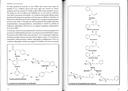 Rhodiola