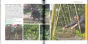 Légumineuses des protéines au potager