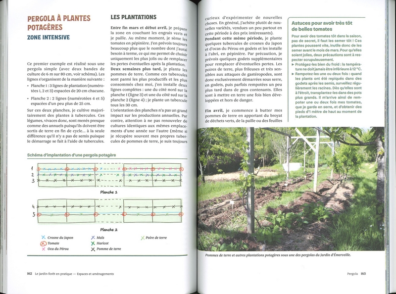 Le jardin forêt en pratique