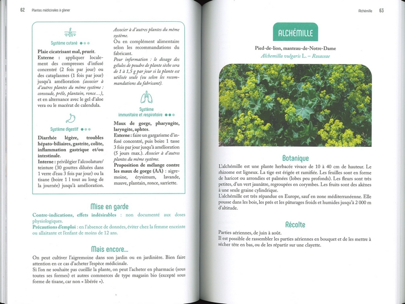 Plantes médicinales à glaner