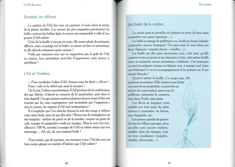 Ail des ours