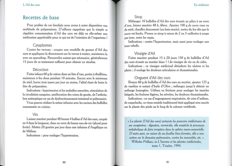 Ail des ours