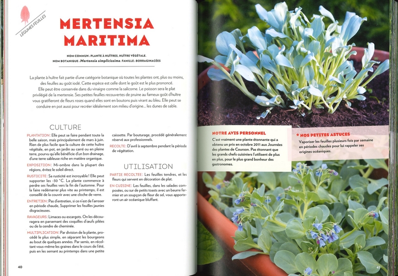 Le potager perpétuel