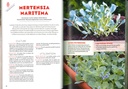 Le potager perpétuel