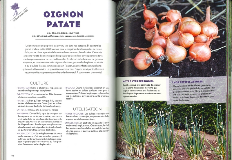 Le potager perpétuel