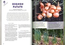 Le potager perpétuel