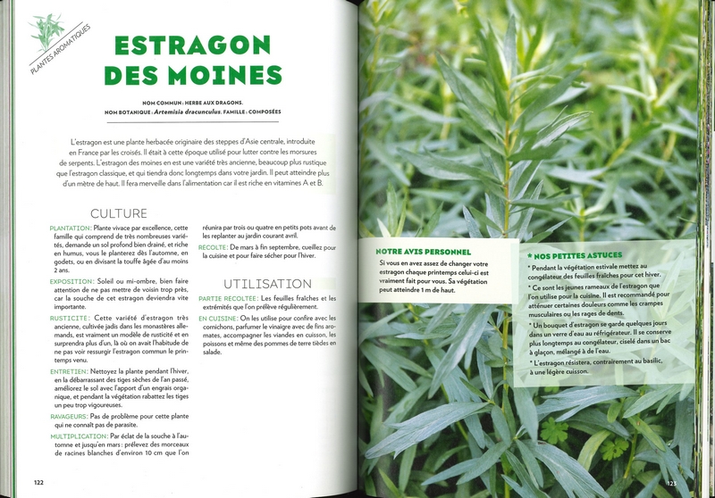 Le potager perpétuel