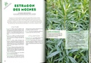 Le potager perpétuel
