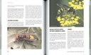 A la rencontre des insectes du potager