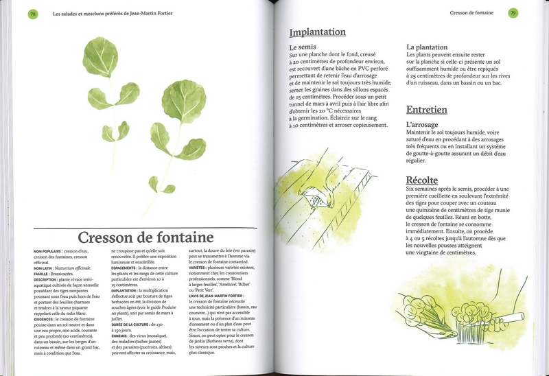 Salades et mescluns