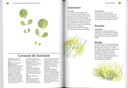 Salades et mescluns
