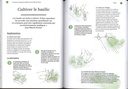 Les plantes aromatiques - JM Fortier