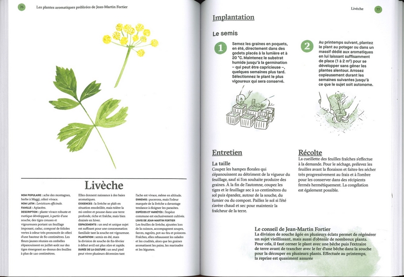 Les plantes aromatiques - JM Fortier