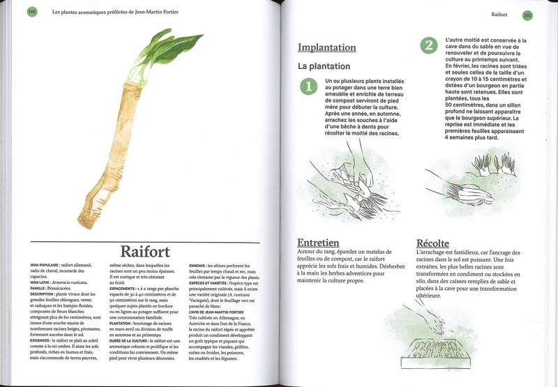 Les plantes aromatiques - JM Fortier